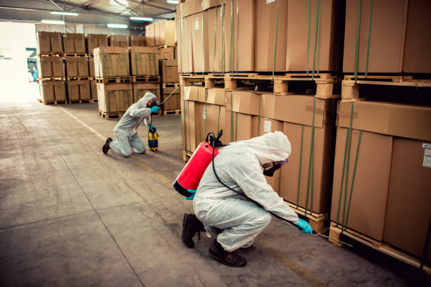 Best Pest Control Treatment  in Cary, NC