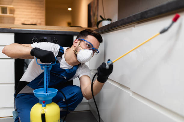 Best Rat Extermination Near Me  in Cary, NC