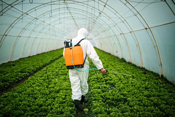 Reliable Cary, NC Pest Control Solutions
