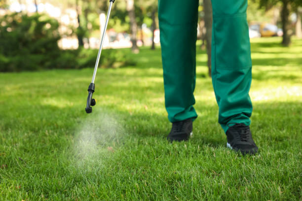 Best Local Pest Control Services  in Cary, NC