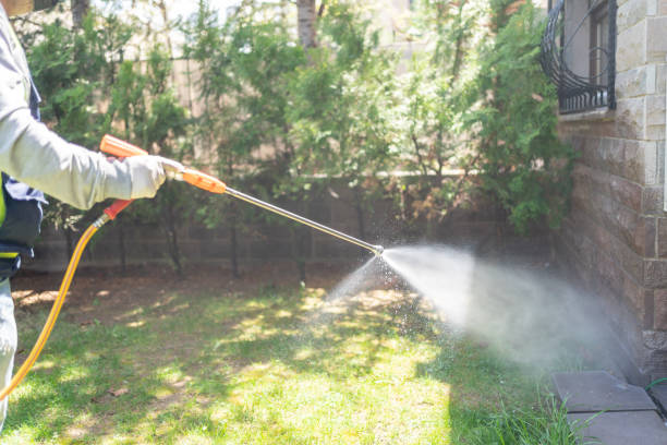 Best Rat Extermination Near Me  in Cary, NC