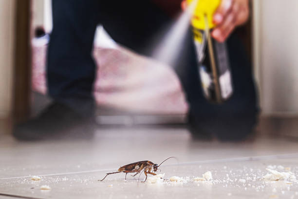 Best Pest Prevention Services  in Cary, NC
