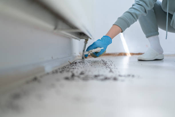 Best Affordable Pest Control Services  in Cary, NC