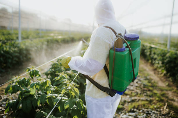  Cary, NC Pest Control Pros